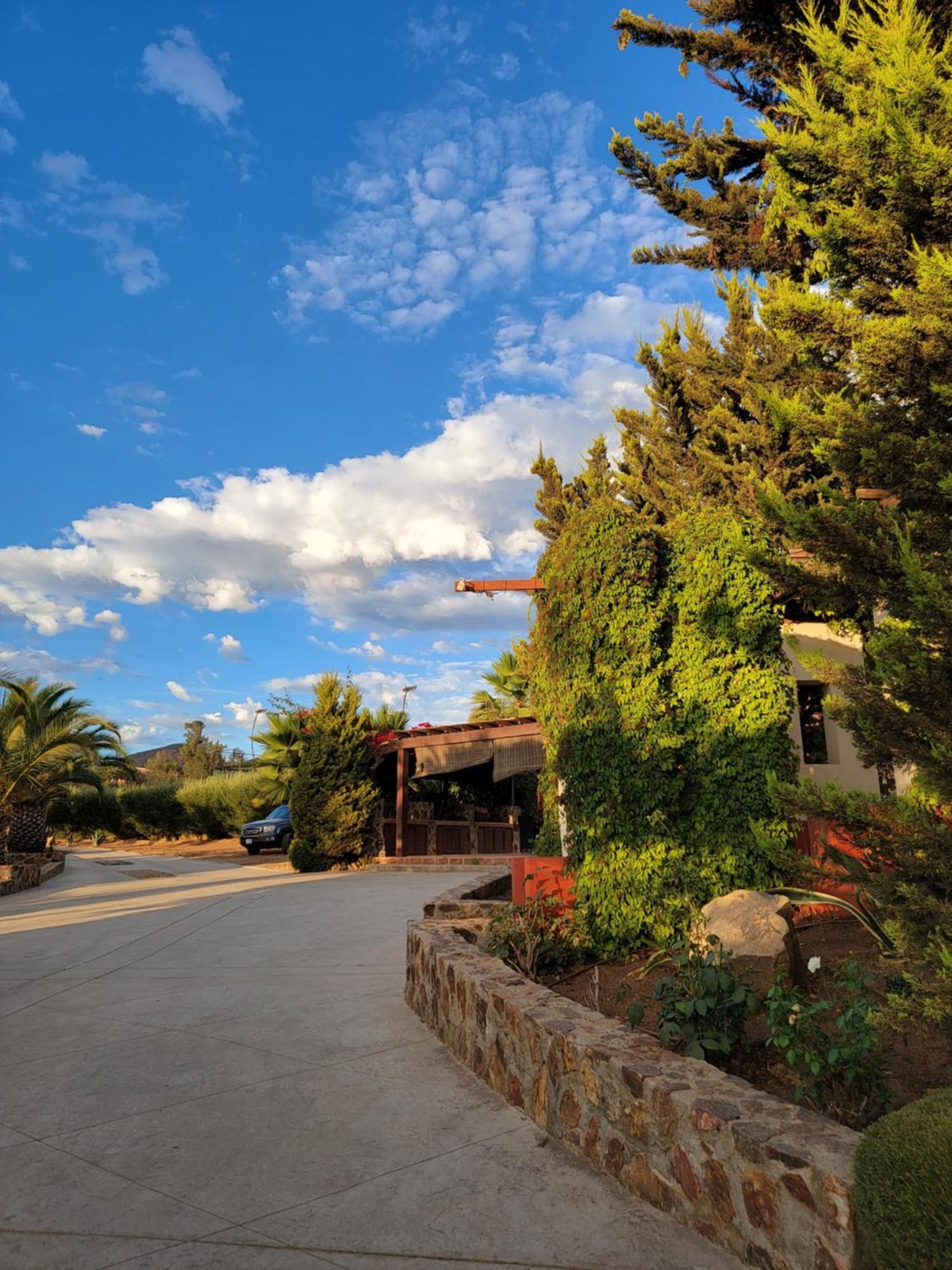 Tierra Mia Hacienda Ruta Del Vino Hotel Вале де Гуадалупе Екстериор снимка