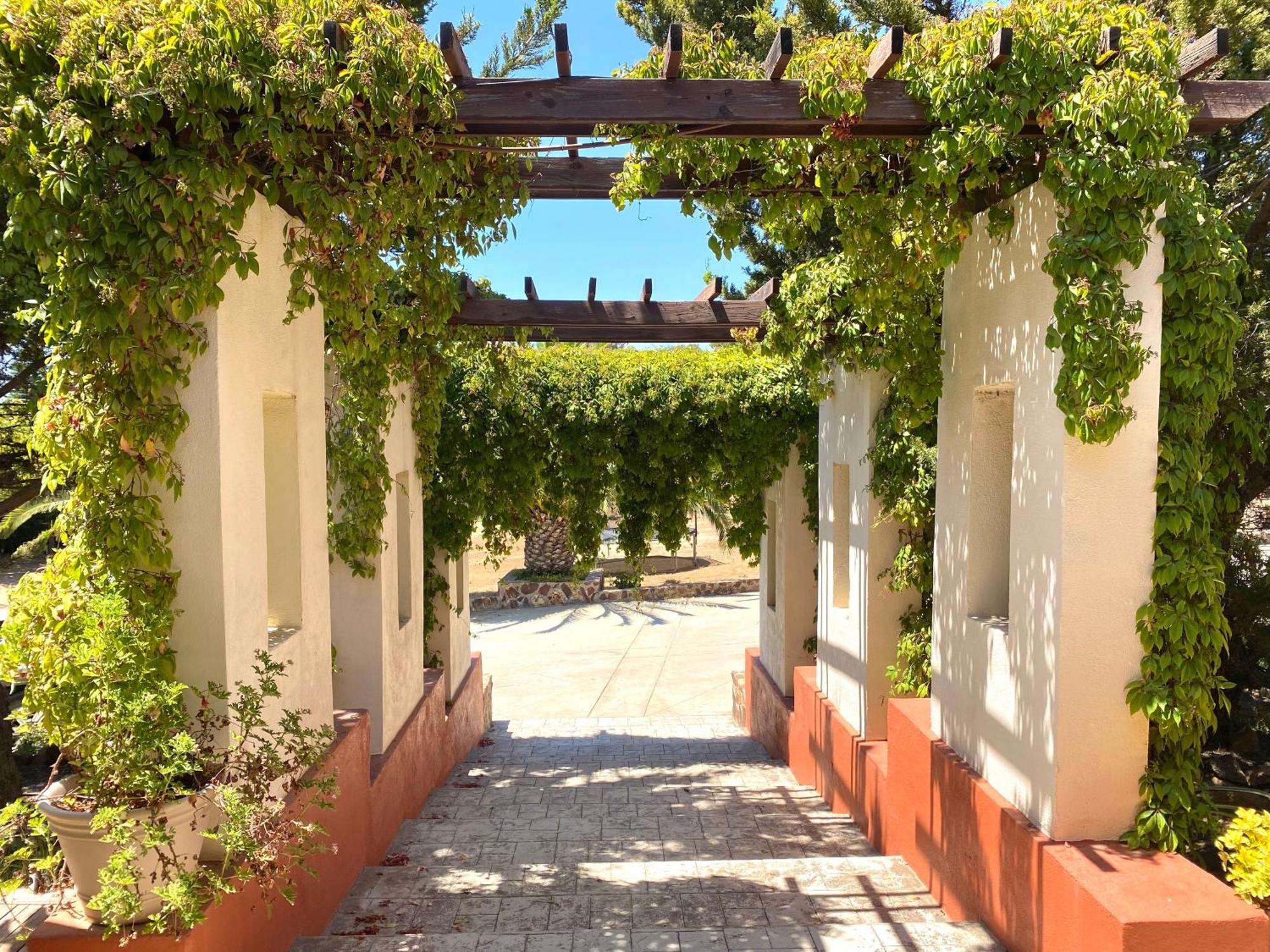 Tierra Mia Hacienda Ruta Del Vino Hotel Вале де Гуадалупе Екстериор снимка